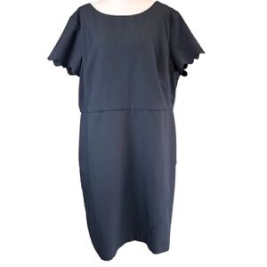 LOFT Plus 16 Navy Sheath Dress Flutter Sleeve Scalloped Hem
